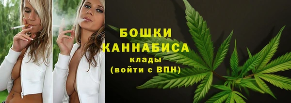 ALPHA PVP Остров