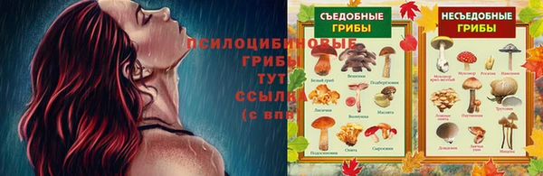 прущая мука Пестово
