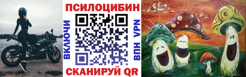 Псилоцибиновые грибы Psilocybine cubensis  Норильск 