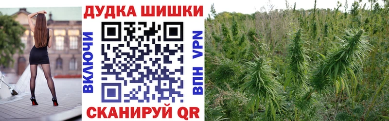 Бошки марихуана сатива Норильск